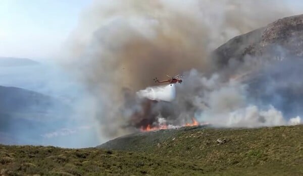 Εύβοια: Ανεξέλεγκτη πυρκαγιά στην Κάρυστο - Στην περιοχή πνέουν άνεμοι έως και 8 μποφόρ