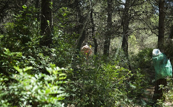 Ψάχνοντας για γρήγορο σεξ με αγνώστους στα πάρκα της Καταλονίας