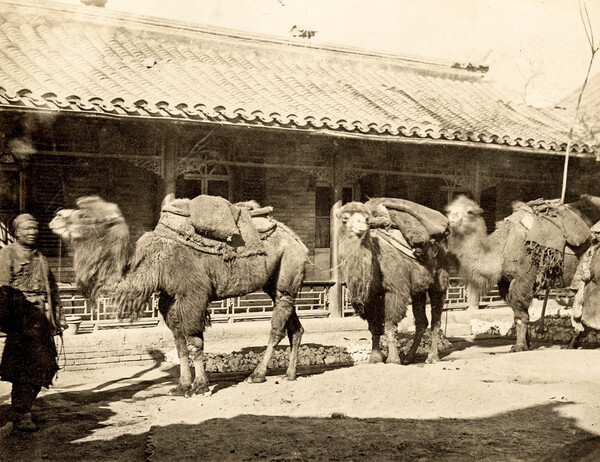 Στην Αυτοκρατορική Κίνα του 1870