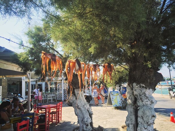 Tι τρώει η Ελλάδα: 30 νέες φωτογραφίες των αναγνωστών μας στο #Lifokitchen