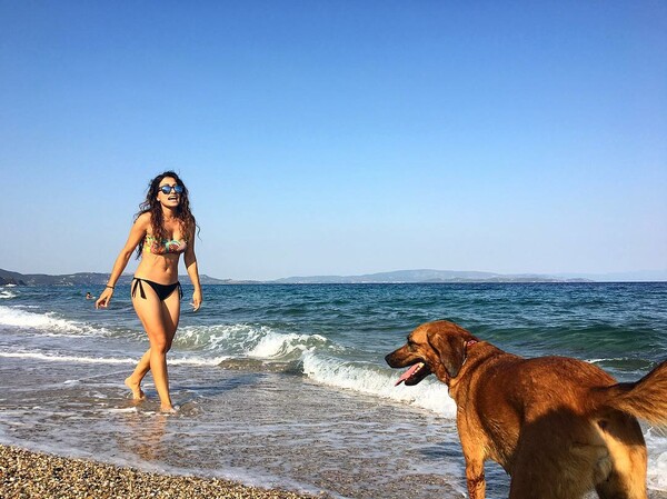 30 νέες φωτογραφίες απ' τα τέλεια ζώα των αναγνωστών μας