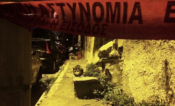 30 νέες φωτογραφίες απ' τα τέλεια ζώα των αναγνωστών μας