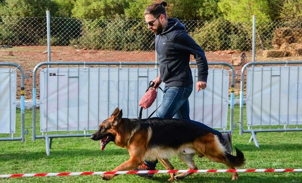 30 νέες φωτογραφίες απ' τα τέλεια ζώα των αναγνωστών μας
