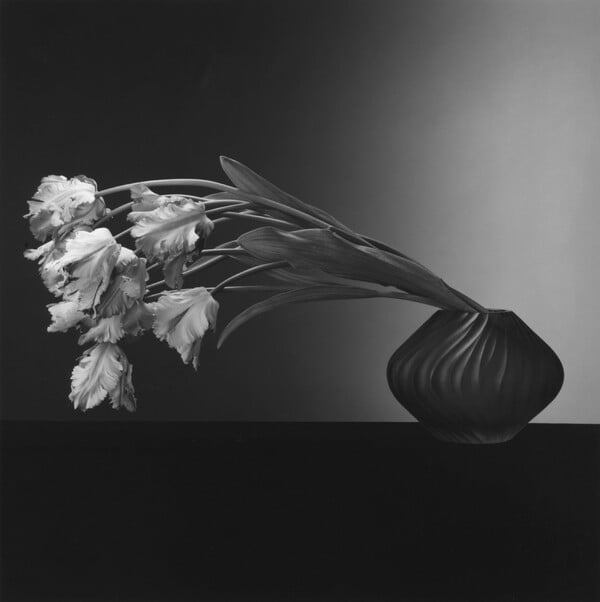 Robert Mapplethorpe: O άγγελος του σκοταδιού