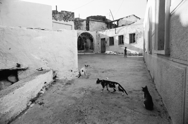 Δυό ταξίδια στη Νίσυρο. Το 1982 και τώρα.