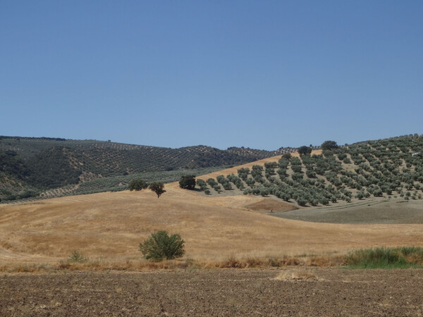 Στο Τολέδο για Ελ Γκρέκο και μια στάση για φαγητό αναμνήσεων