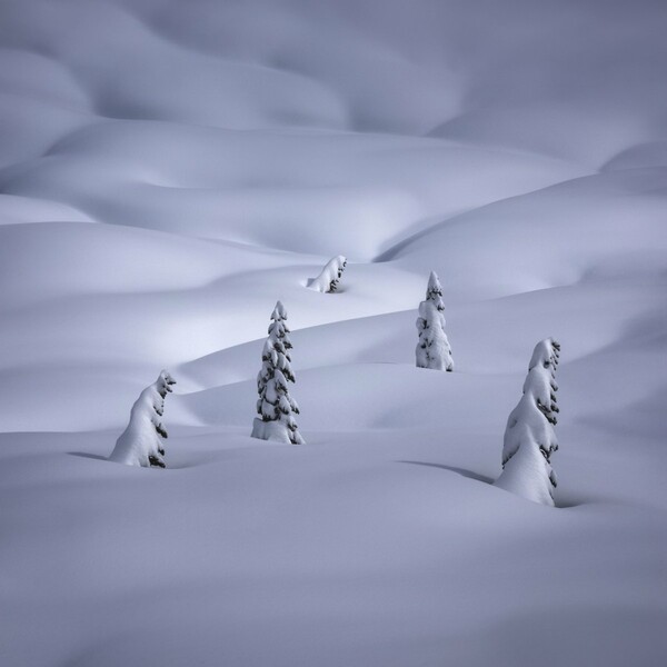 Τα βραβευμένα τοπία του International Landscape Photographer of the Year