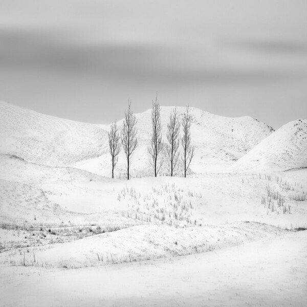 Τα βραβευμένα τοπία του International Landscape Photographer of the Year