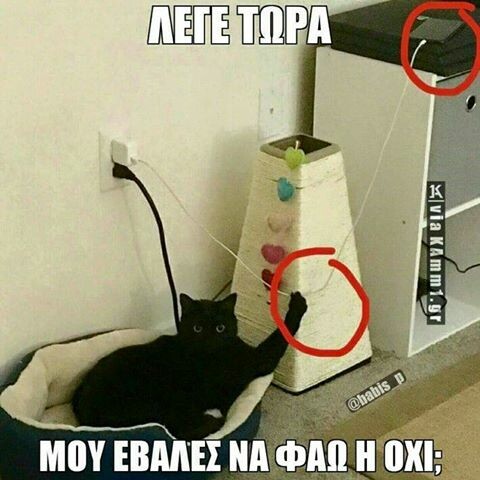 15 Μικροπράγματα που ΙΣΩΣ σου φτιάξουν τη διάθεση, σήμερα Τετάρτη