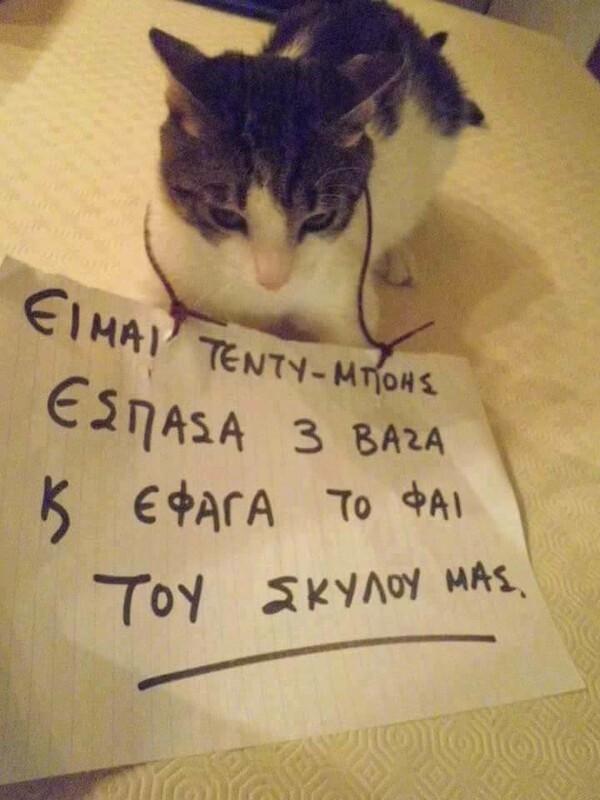 15 Μικροπράγματα που ΙΣΩΣ σου φτιάξουν τη διάθεση, σήμερα Τρίτη