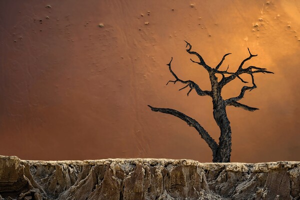 Τα βραβευμένα τοπία του International Landscape Photographer of the Year