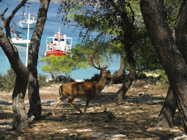 Μικρή απόδραση στην Αίγινα