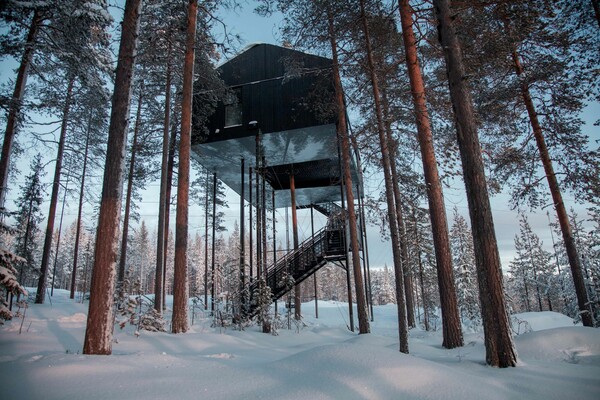 Στο έβδομο δωμάτιο του Treehotel