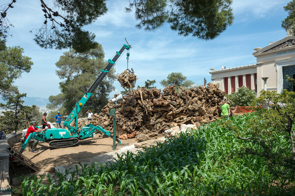 Ένας καλλιτέχνης μόλις μεταμόρφωσε το Αστεροσκοπείο Αθηνών σε έναν κήπο γεμάτο μηνύματα για την ανθρωπότητα