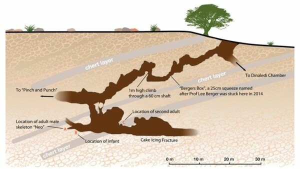 Ο Homo naledi, ο άγνωστος «συγγενής» του ανθρώπου αλλάζει όλα όσα ξέραμε για την εξέλιξη του είδους μας