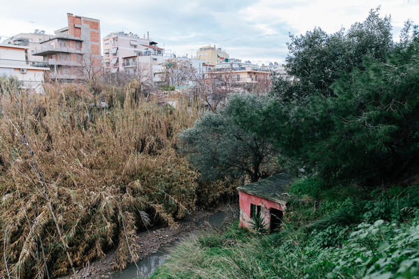 Ένα απόγευμα στο «ξεχασμένο», ήσυχο Μπραχάμι