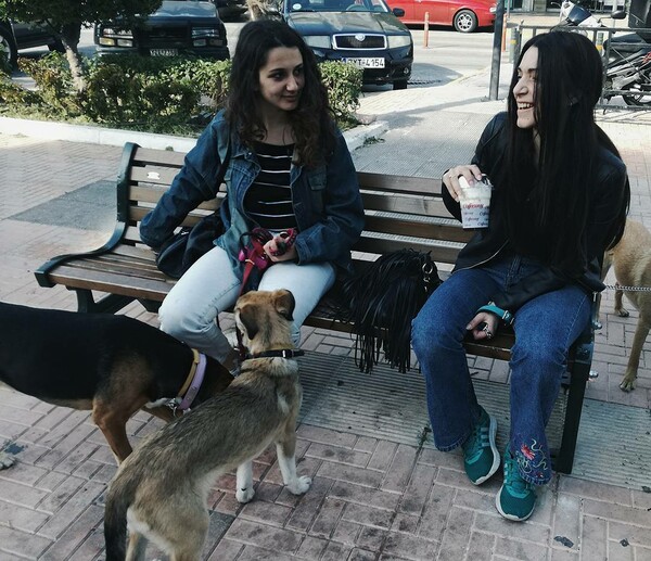 30 νέες φωτογραφίες απ' τα τέλεια ζώα των αναγνωστών μας