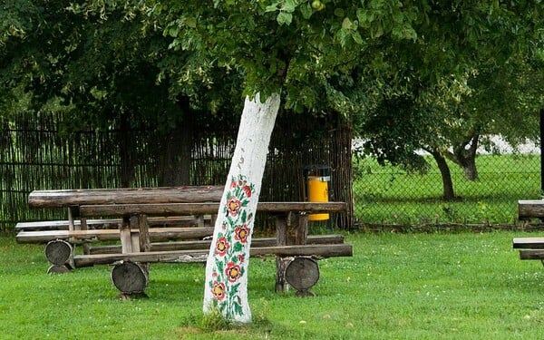 Ένα μικρό χωριό της Πολωνίας είναι γεμάτο από γκράφιτι με λουλούδια― αλλά γεμάτο!