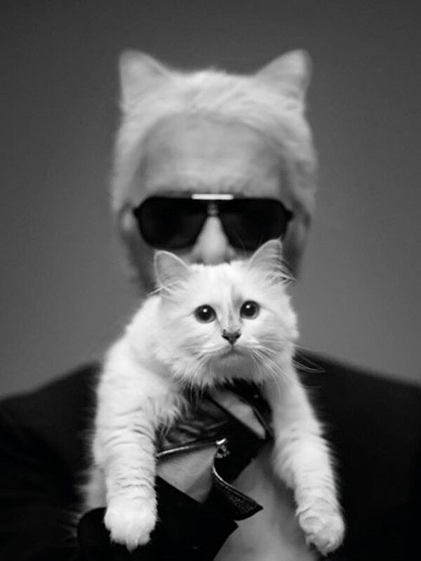 Η διάσημη γάτα του Karl Lagerfeld γίνεται (πανάκριβο) λούτρινο ζωάκι