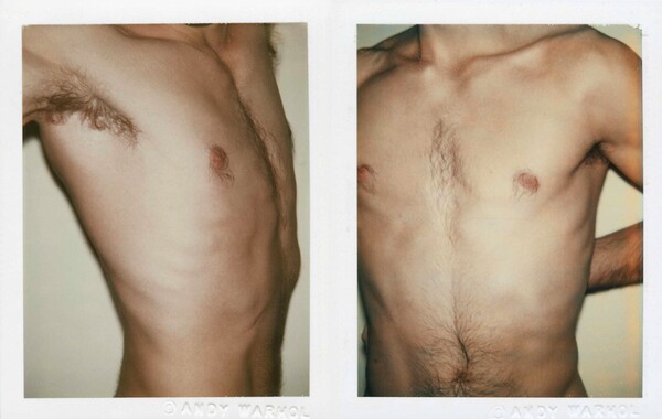 Τα ανδρικά γυμνά του Andy Warhol