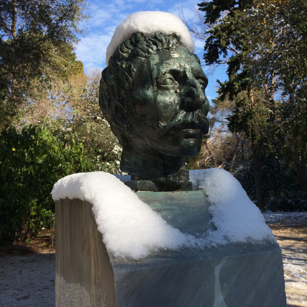 Winter Garden