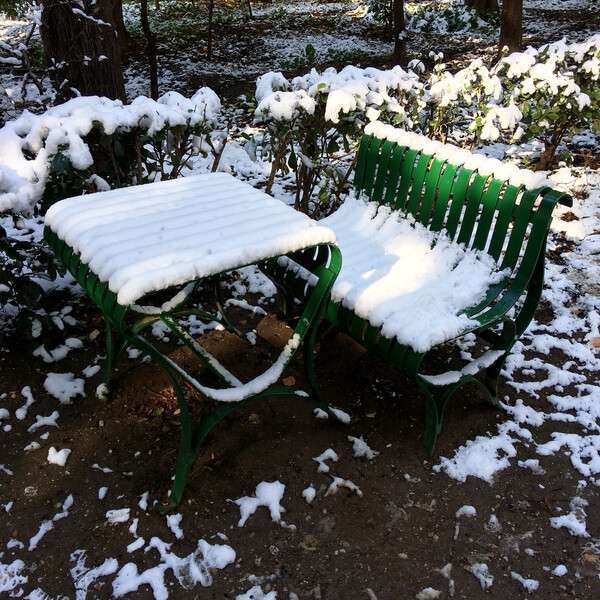 Winter Garden