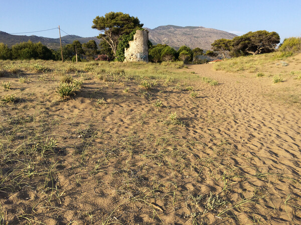 Ο Καϊάφας αναγεννάται από τις στάχτες του