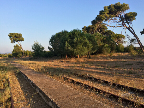 Ο Καϊάφας αναγεννάται από τις στάχτες του