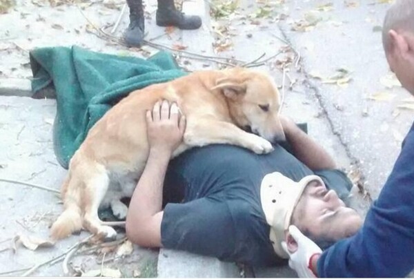 Η τρυφερή φωτογραφία του σκύλου που αρνήθηκε να εγκαταλείψει τον τραυματισμένο ιδιοκτήτη του κάνει το γύρο του διαδικτύου