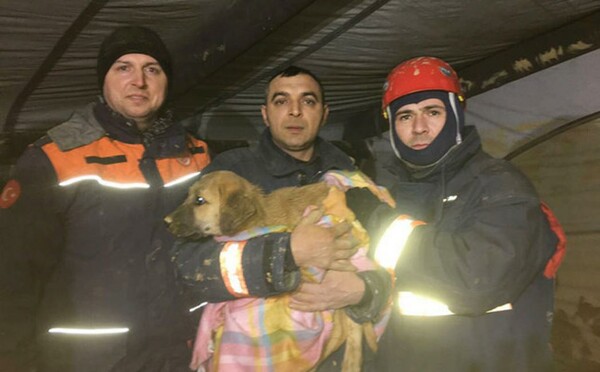Τουρκία: Η διάσωση ενός κουταβιού από πηγάδι βάθους 70 μ. στην Κωνσταντινούπολη συγκινεί την κοινή γνώμη