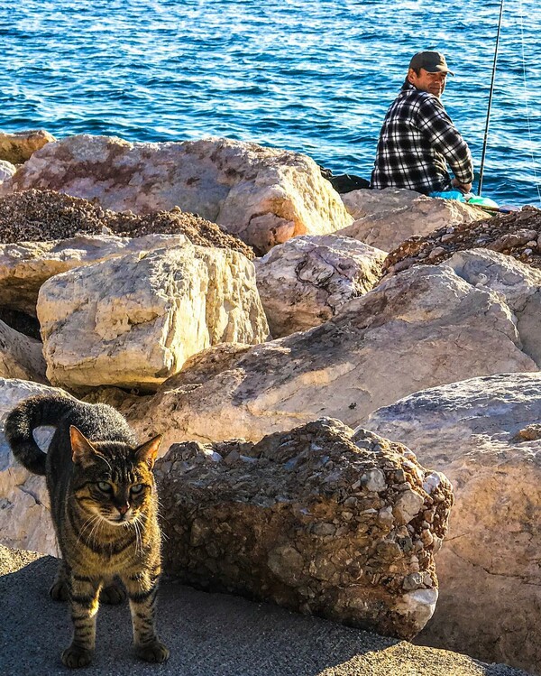 30 νέες φωτογραφίες απ' τα τέλεια ζώα των αναγνωστών μας