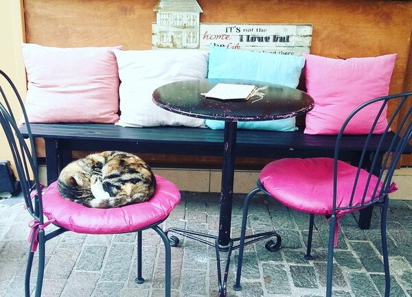 30 νέες φωτογραφίες απ' τα τέλεια ζώα των αναγνωστών μας