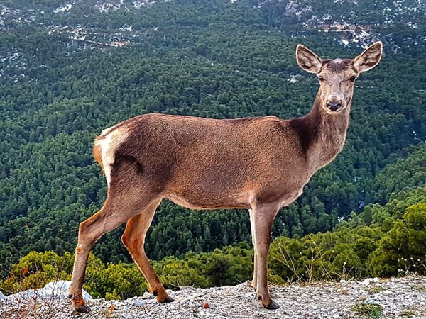 30 νέες φωτογραφίες απ' τα τέλεια ζώα των αναγνωστών μας