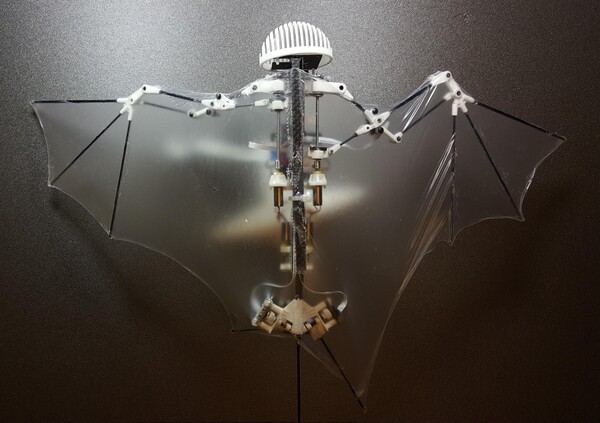 Eπιστήμονες δημιούργησαν το πρώτο ρομπότ-νυχτερίδα