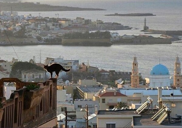 30 νέες φωτογραφίες απ' τα τέλεια ζώα των αναγνωστών μας