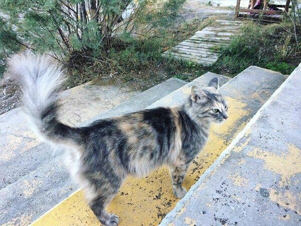30 νέες φωτογραφίες απ' τα τέλεια ζώα των αναγνωστών μας