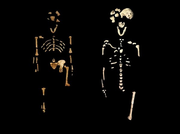 Ο Homo naledi, ο άγνωστος «συγγενής» του ανθρώπου αλλάζει όλα όσα ξέραμε για την εξέλιξη του είδους μας