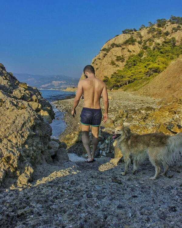 30 νέες φωτογραφίες απ' τα τέλεια ζώα των αναγνωστών μας