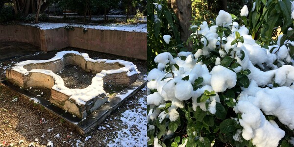 Winter Garden