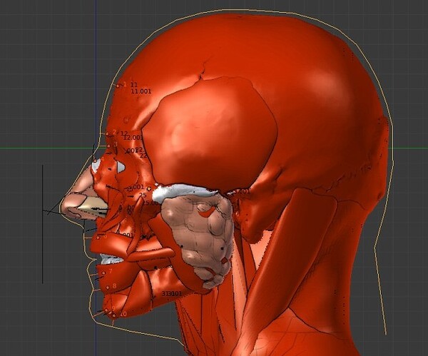 Επιστήμονες αποκαλύπτουν με 3D τεχνολογία πώς έμοιαζε ο Άγιος Βαλεντίνος όταν εκτελέστηκε πριν από 1700 χρόνια