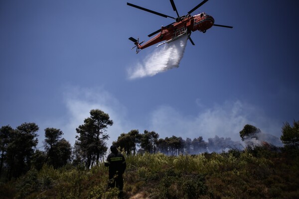 Μαίνεται η πυρκαγιά γύρω από τη λίμνη Βιστωνίδα