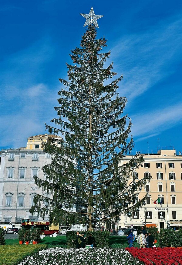 Ποια Γιάννενα; Το πανάκριβο Χριστουγεννιάτικο δέντρο της Ρώμης σε κάποιους θυμίζει βουρτσάκι τουαλέτας