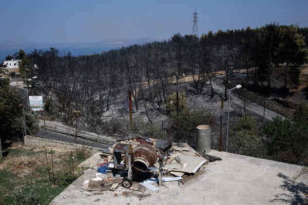 Στάχτη και αποκαΐδια: Δραματικές εικόνες από το πέρασμα της φωτιάς σε Βαρνάβα, Κάλαμο, Καπανδρίτι