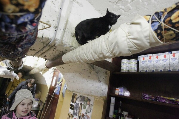 Ρωσία: «Διάσημες» γάτες του μουσείου Ερμιτάζ πέθαναν από ασφυξία λόγω του καπνού από πυρκαγιά