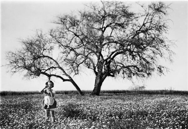 Ταξίδι στην Παλαιστίνη του 1936