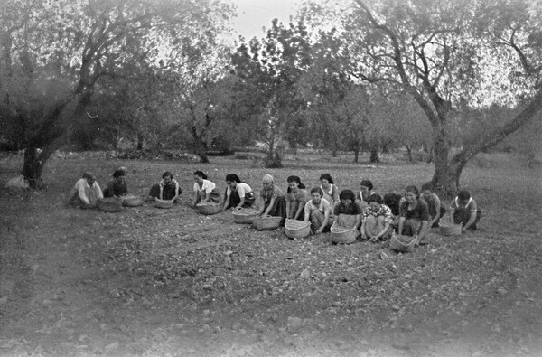 Perez de Rosas. Φωτογραφικό χρονικό της Βαρκελώνης (1931-1954).