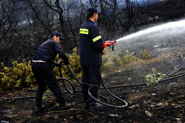 Φωτιά στο Κορωπί - Δεν απειλούνται κατοικίες