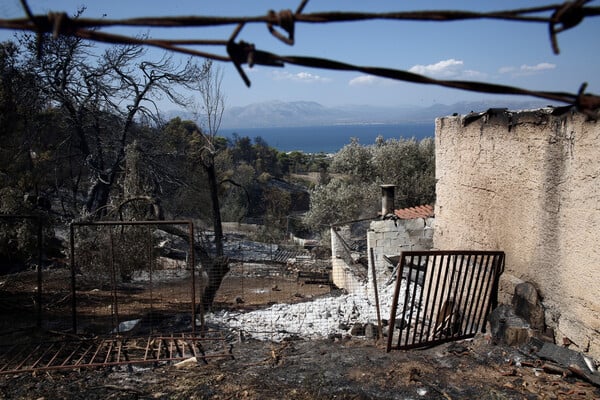 Στάχτη και αποκαΐδια: Δραματικές εικόνες από το πέρασμα της φωτιάς σε Βαρνάβα, Κάλαμο, Καπανδρίτι