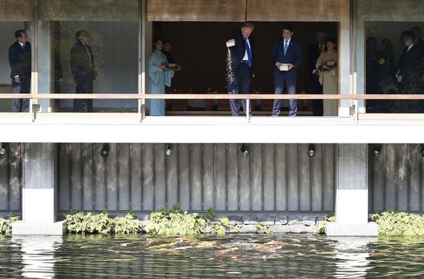 O Τραμπ ταΐζει τα Κόι, αλλά βαριέται γρήγορα και τελικά πετά όλο το φαΐ με τη μία στα ψάρια