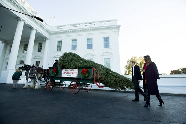 Η Μελάνια και ο 11χρονος Μπάρον υποδέχονται το χριστουγεννιάτικο δέντρο στον Λευκό Οίκο